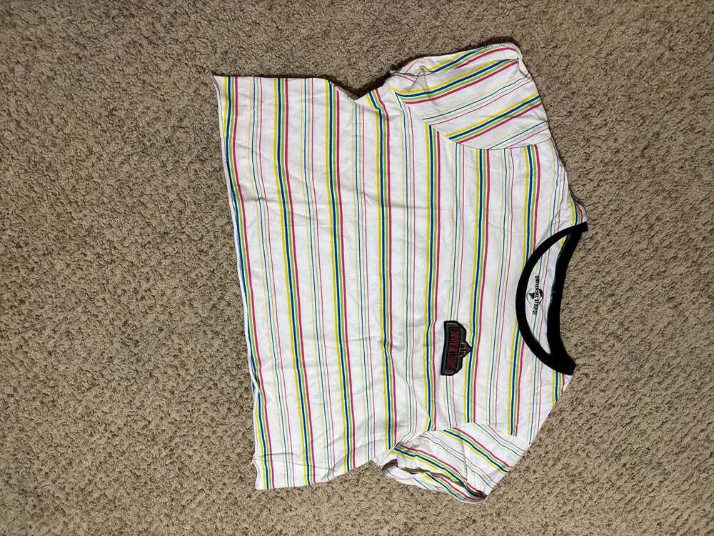 Universal Studios Retro Women's Striped Crop T-Shirt